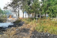 Рятувальники запобігли поширенню вогню на кладовище