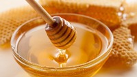 Президент Чехії радить зупинити закупки меду з України через проблему з антибіотиками 