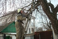 Рятувальники зняти кота з дерева
