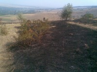 Рятувальники ліквідували загорання сухої трави на площі 2,5 га