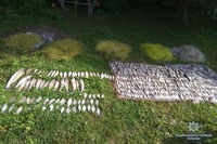 На Хмельниччині браконьєр сітями наловив 9 сотень рибин