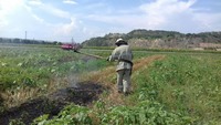 Кіровоградська область: вогнеборцями приборкано 3 пожежі в екосистемах області