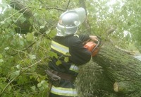 Рятувальники області ліквідували наслідки негоди, прибираючи повалені на дороги дерева