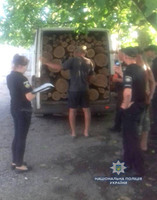 На Херсонщині за незаконну порубку дерев дуба поліцейські затримали двох чоловіків