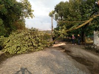 Здолбунівський район:  рятувальники надавали допомогу по розчищенню автомобільних доріг від повалених негодою дерев 