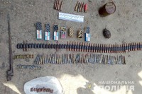 Більше 400 набоїв та пістолет кустарного виробництва вилучили поліцейські у жителя Теофіпольського району