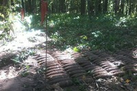 Шумський район: поблизу с. Вілія вже виявлено 203 артилерійських снаряди, калібром 45 мм, часів Другої світової війни 