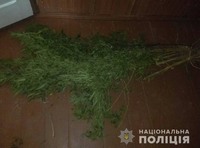 Поліцейські Мукачівщини на вчиненні наркозлочинів викрили двох місцевих мешканців