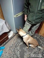 Васильківщина: правоохоронці зі службовою собакою вилучили наркотики у місцевих жителів