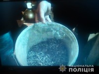 На Тячівщині поліцейські вилучили марихуану