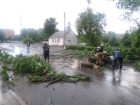 смт Чечельник: бійці ДСНС прибрали повалене вітром дерево з автошляху