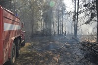Чернігівський район: вогнеборці ліквідували лісову пожежу біля селища Гончарівське