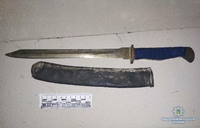 У Старовижівському районі поліцейські вилучили ніж і порох