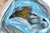 На Кіровоградщині поліцейські вилучили у місцевих жителів більше 10 кг коноплі та півтора літри опію