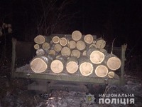 В Ананьївському районі правоохоронці затримали автомобіль із незаконною деревиною
