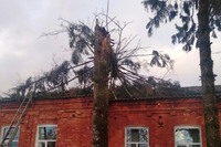 У селищі Олишівка рятувальники провели роботи з прибирання дерева, що впало на заклад освіти