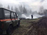 Олевський район: рятувальники та лісівники загасили торф, що горів 6 діб