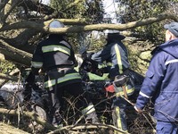 Яворівський район: рятувальники прибрали дерево, що впало на автівку 