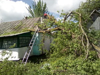 Білогірський район: рятувальники прибрали повалене дерево з даху житлового будинку
