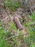 Сколівський район: під час прогулянки у лісі знайшли застарілий артснаряд