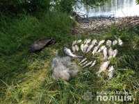 На Глобинщині рейдова група викрила чоловіка, який незаконно виловив 23 кг риби