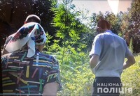 Понад 200 рослин конопель вилучили поліцейські на присадибній ділянці літньої жінки