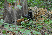 Як готують снайперів у Національній гвардії України