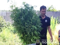 Поліцейські вилучили наркотичні засоби у жителя Горішніх Плавнів