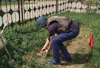 Київська область: піротехнічна група вилучила ручну гранату РГД-33