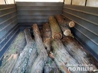 В Олешківському районі поліцейські виявили 5 чоловік, які незаконно спилювали дерева