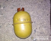 Поліцейські Київщини вилучили гранату у перехожого