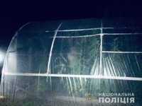 Поліція Косівщини викрила чоловіка, який на території господарства вирощував коноплю