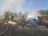 Макарівський район: за добу рятувальники ліквідували 7 пожеж трав’яного настилу