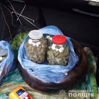 Близько кілограма марихуани вилучили поліцейські у жителя смт Погребище