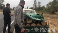На Херсонщині поліція продовжує протидіяти лісовому браконьєрству