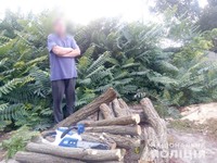 В Олешківському районі поліцейські виявили лісових браконьєрів