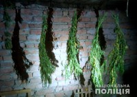 Поліцейські Лубенського, Гадяцького та Карлівського районів у місцевих жителів виявили наркотики