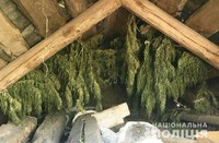 На Чернігівщині поліція вилучила наркотиків на півмільйона гривень