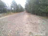 У Рокитнівському районі у ДТП загинув неповнолітній