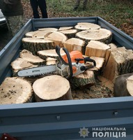 У Новомосковському районі поліцейські офіцери громади виявили лісового браконьєра