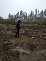 Іванківський район: в лісовому масиві знайдено вибухонебезпечний предмет