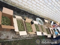 На Луганщині поліція ліквідувала канал постачання наркотиків на окуповану територію