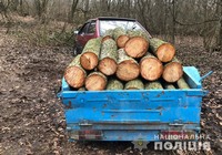 Поліцейські Лохвиччини викрили два факти незаконної порубки деревини на території  району