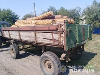 У Гадяцькому районі поліцейські охорони затримали водія, який перевозив деревину без відповідних документів