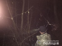 На Сокальщині дільничні офіцери виявили та припинили незаконну порубку дерев