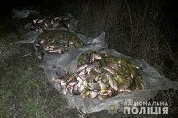 В Чорнобаївському районі поліцейські виявили двох чоловіків, які займалися незаконним виловом риби
