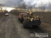 У Врадіївському районі поліцейські виявили чоловіка, який незаконно перевозив всіжозрубану деревину