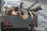 Під час рейду Великоолександрівські поліцейські виявили автівку зі спиляними деревами