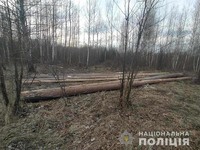 В Олевському районі затримано крадія деревини