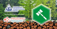 «Українська універсальна біржа» успішно провела торги з продажу необробленої деревини